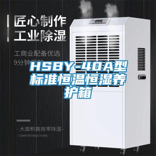 HSBY-40A型標準恒溫恒濕養護箱