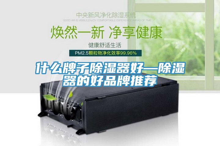 什么牌子除濕器好—除濕器的好品牌推薦