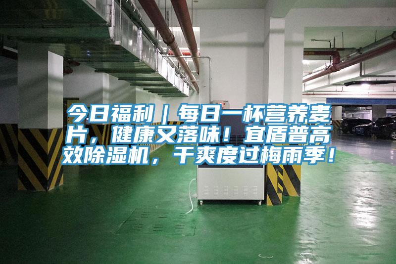 今日福利｜每日一杯營養麥片，健康又落味！宜盾普高效除濕機，干爽度過梅雨季！