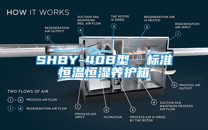 SHBY-40B型  標準恒溫恒濕養護箱