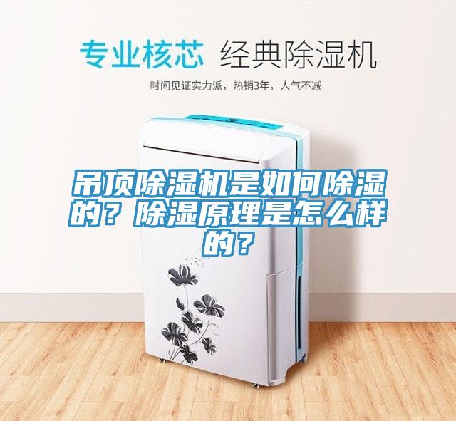 吊頂除濕機是如何除濕的？除濕原理是怎么樣的？