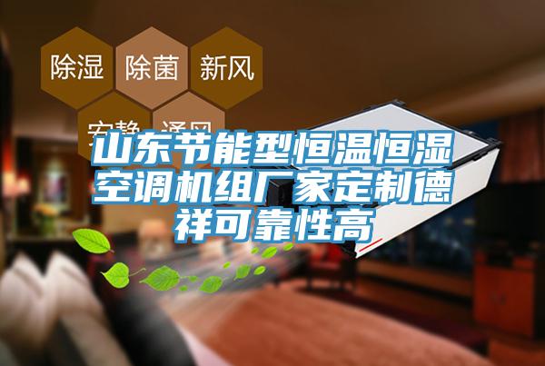 山東節能型恒溫恒濕空調機組廠家定制德祥可靠性高