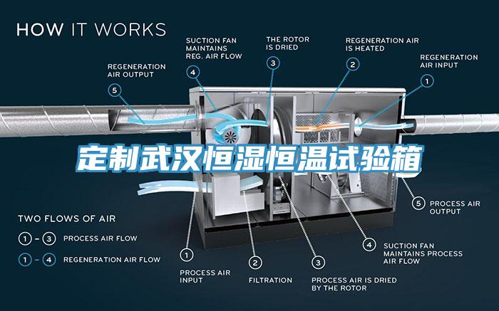 定制武漢恒濕恒溫試驗箱