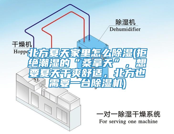 北方夏天家里怎么除濕(拒絕潮濕的“桑拿天”，想要夏天干爽舒適，北方也需要一臺除濕機)