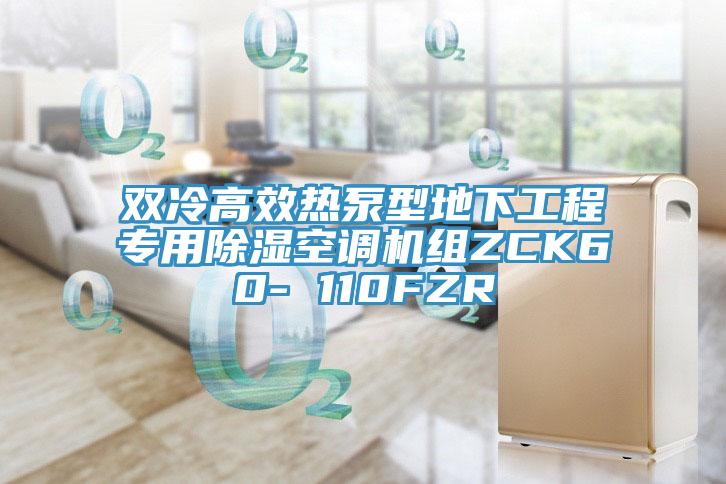 雙冷高效熱泵型地下工程專用除濕空調機組ZCK60- 110FZR