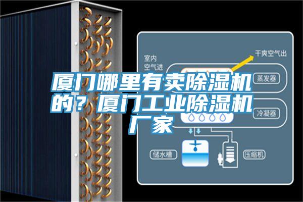 廈門哪里有賣除濕機的？廈門工業除濕機廠家