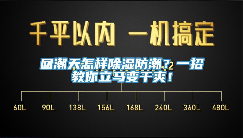 回潮天怎樣除濕防潮？一招教你立馬變干爽！