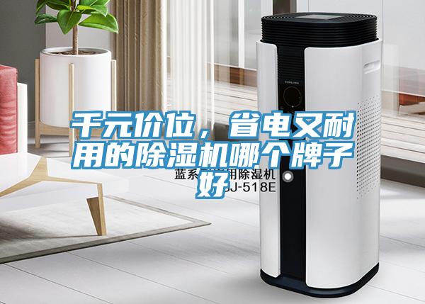 千元價位，省電又耐用的除濕機哪個牌子好