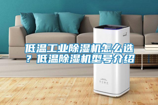 低溫工業除濕機怎么選？低溫除濕機型號介紹