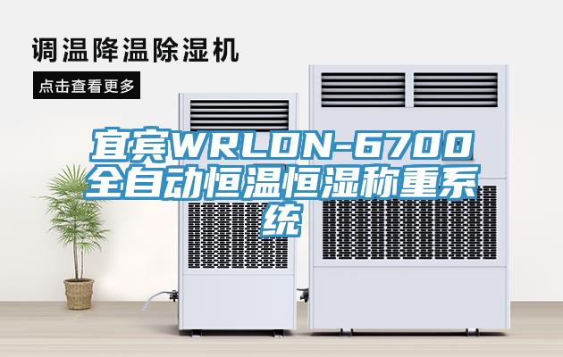 宜賓WRLDN-6700全自動恒溫恒濕稱重系統