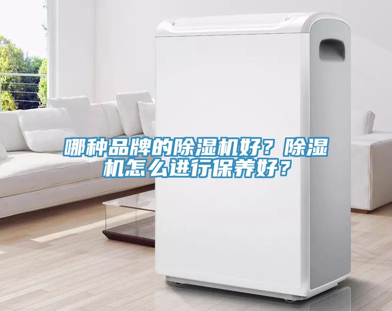 哪種品牌的除濕機好？除濕機怎么進行保養好？