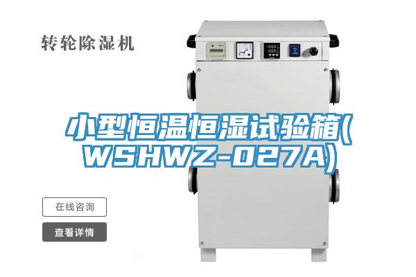 小型恒溫恒濕試驗箱(WSHWZ-027A)