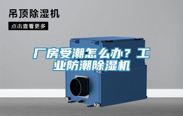 廠房受潮怎么辦？工業防潮除濕機