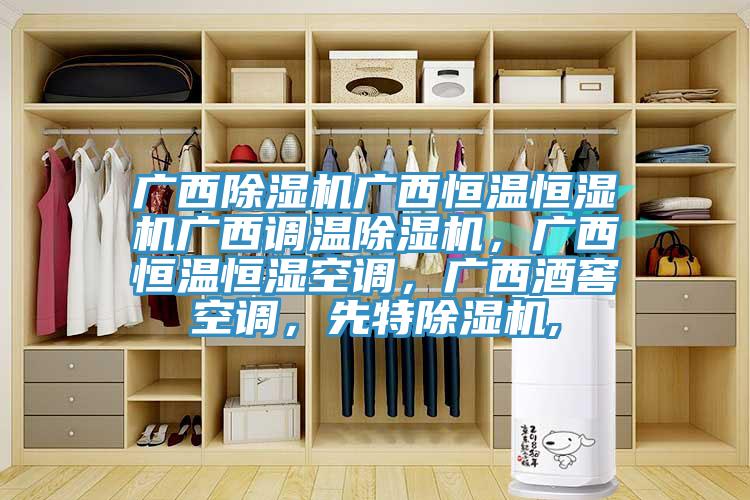 廣西除濕機廣西恒溫恒濕機廣西調溫除濕機，廣西恒溫恒濕空調，廣西酒窖空調，先特除濕機,