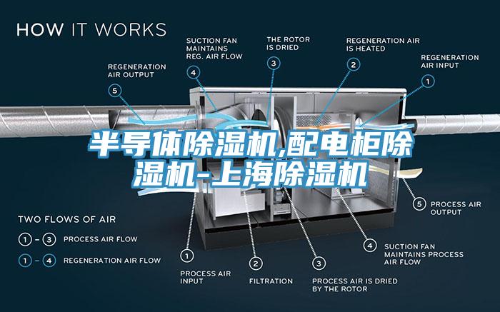 半導(dǎo)體除濕機(jī),配電柜除濕機(jī)-上海除濕機(jī)