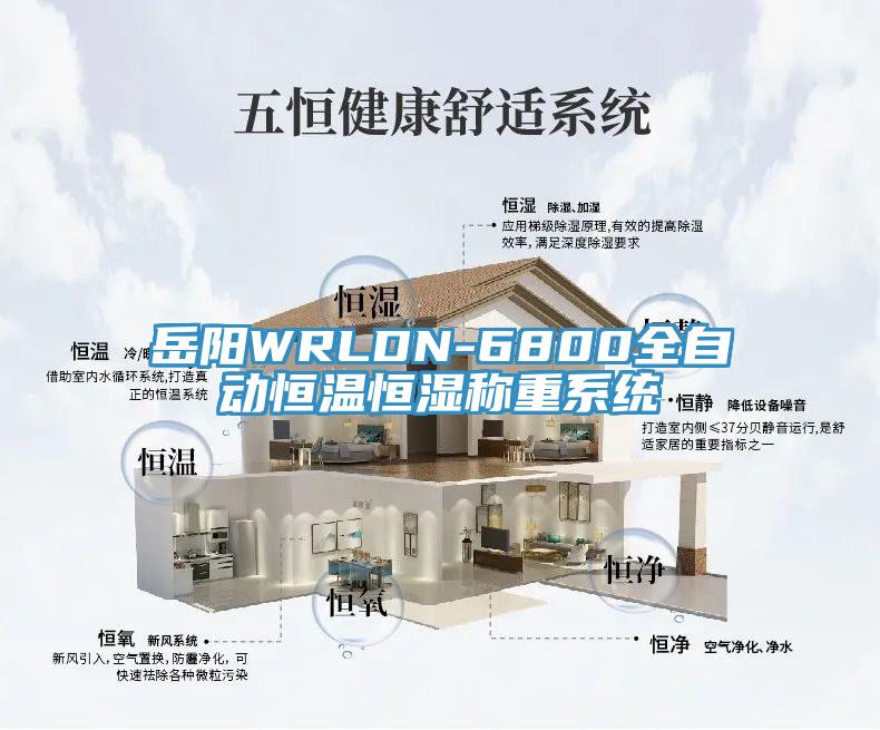 岳陽WRLDN-6800全自動恒溫恒濕稱重系統