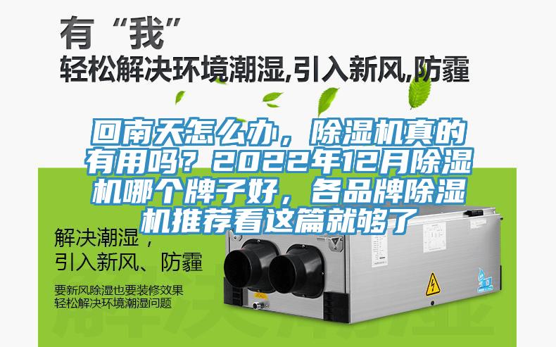 回南天怎么辦，除濕機真的有用嗎？2022年12月除濕機哪個牌子好，各品牌除濕機推薦看這篇就夠了