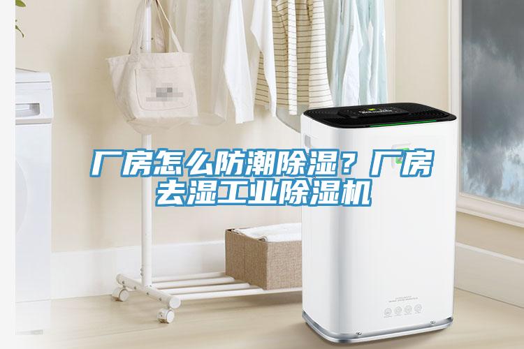 廠房怎么防潮除濕？廠房去濕工業除濕機