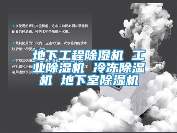 地下工程除濕機 工業除濕機 冷凍除濕機 地下室除濕機