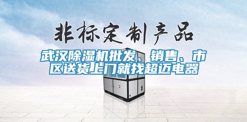 武漢除濕機批發(fā)、銷售、市區(qū)送貨上門就找超邁電器