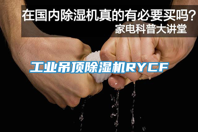 工業(yè)吊頂除濕機(jī)RYCF