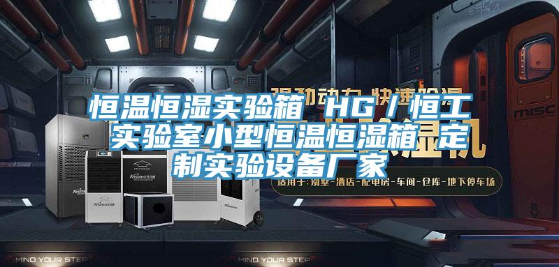 恒溫恒濕實驗箱 HG／恒工 實驗室小型恒溫恒濕箱 定制實驗設備廠家