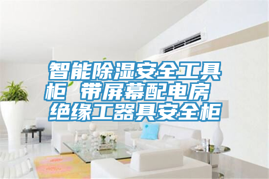 智能除濕安全工具柜 帶屏幕配電房 絕緣工器具安全柜