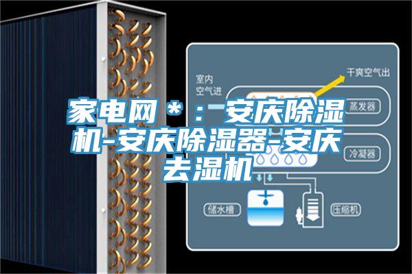 家電網(wǎng)＊：安慶除濕機-安慶除濕器-安慶去濕機