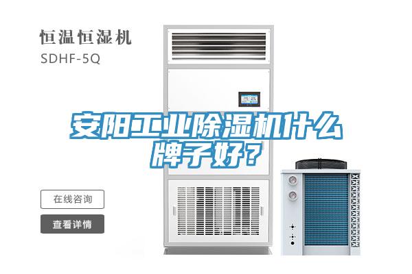 安陽工業除濕機什么牌子好？