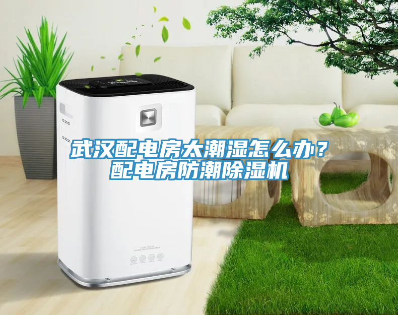 武漢配電房太潮濕怎么辦？配電房防潮除濕機