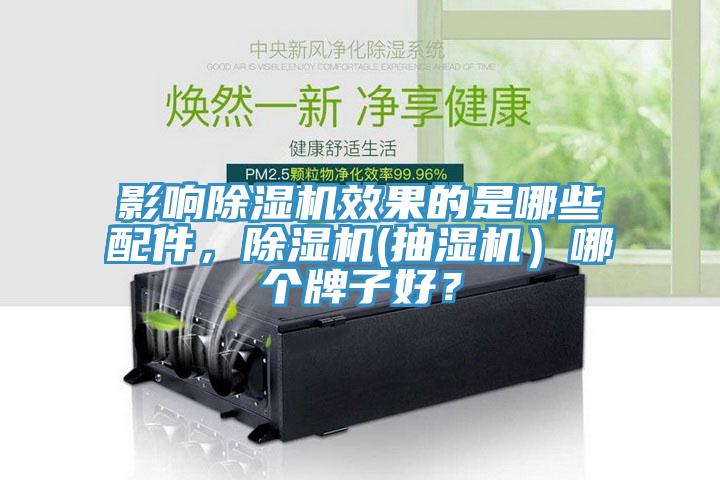 影響除濕機效果的是哪些配件，除濕機(抽濕機）哪個牌子好？