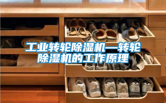 工業轉輪除濕機—轉輪除濕機的工作原理