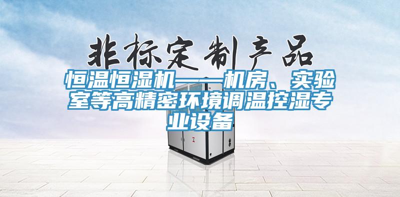 恒溫恒濕機——機房、實驗室等高精密環境調溫控濕專業設備