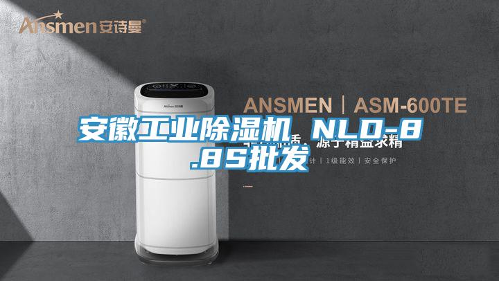 安徽工業除濕機 NLD-8.8S批發