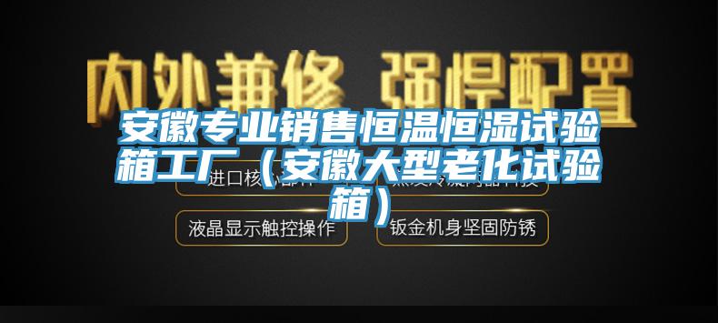 安徽專業銷售恒溫恒濕試驗箱工廠（安徽大型老化試驗箱）