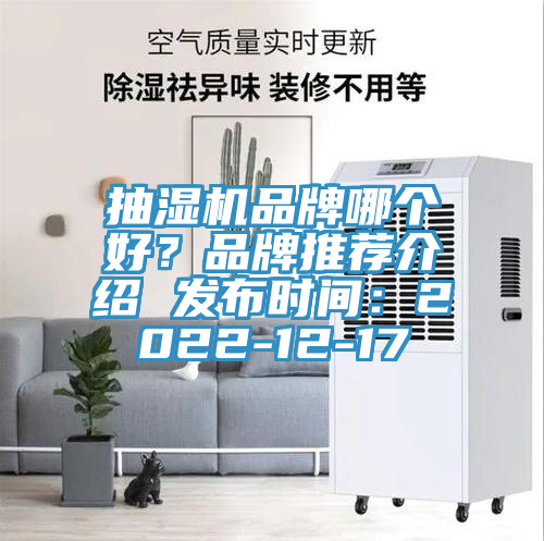 抽濕機品牌哪個好？品牌推薦介紹 發布時間：2022-12-17