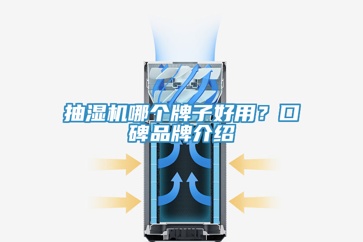 抽濕機哪個牌子好用？口碑品牌介紹