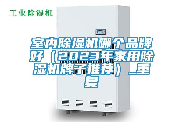 室內除濕機哪個品牌好（2023年家用除濕機牌子推薦）_重復