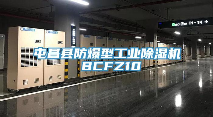 屯昌縣防爆型工業(yè)除濕機(jī) BCFZ10