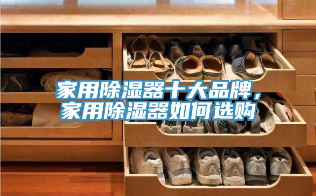 家用除濕器十大品牌，家用除濕器如何選購