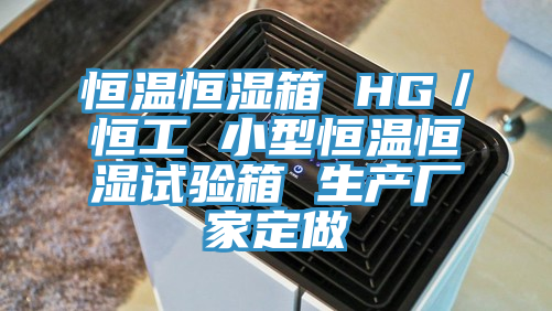 恒溫恒濕箱 HG／恒工 小型恒溫恒濕試驗箱 生產廠家定做