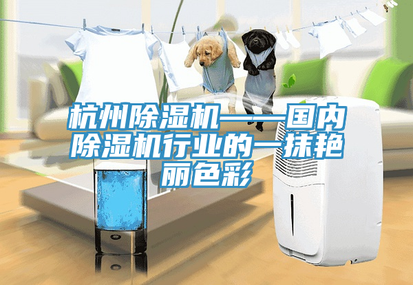 杭州除濕機(jī)——國內(nèi)除濕機(jī)行業(yè)的一抹艷麗色彩