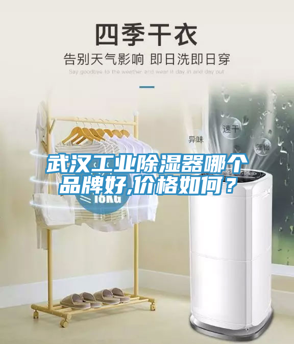 武漢工業(yè)除濕器哪個品牌好,價格如何？