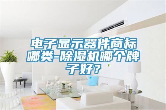 電子顯示器件商標哪類-除濕機哪個牌子好？