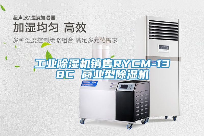 工業除濕機銷售RYCM-138C 商業型除濕機