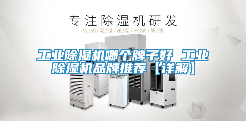 工業除濕機哪個牌子好 工業除濕機品牌推薦【詳解】