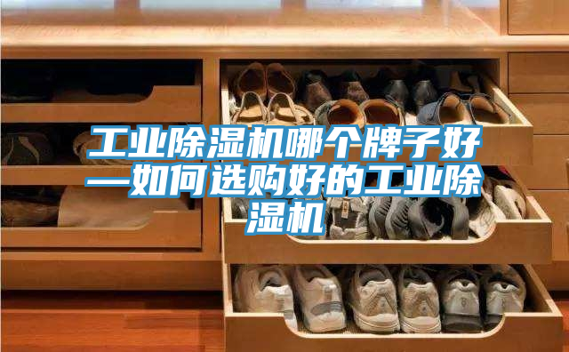 工業除濕機哪個牌子好—如何選購好的工業除濕機