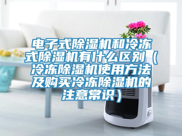 電子式除濕機和冷凍式除濕機有什么區別（冷凍除濕機使用方法及購買冷凍除濕機的注意常識）