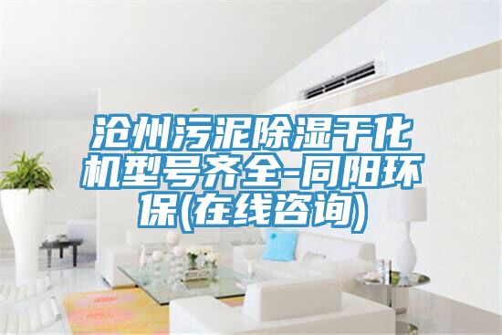 滄州污泥除濕干化機型號齊全-同陽環保(在線咨詢)