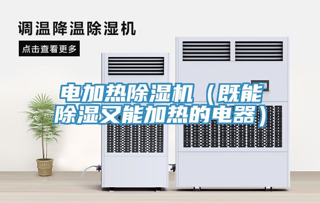 電加熱除濕機（既能除濕又能加熱的電器）